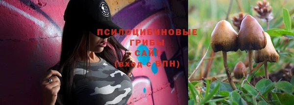 прущие крисы Абаза