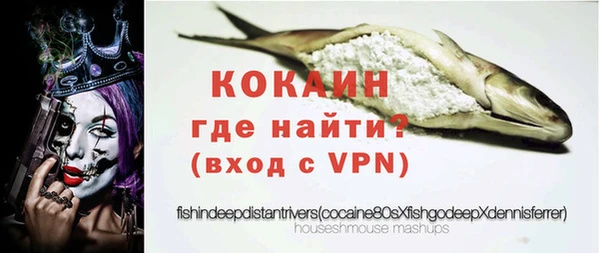 твердый Михайловск