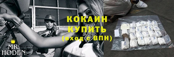 твердый Михайловск