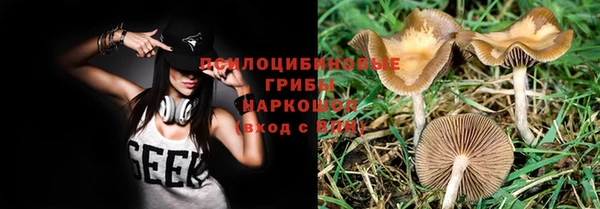 соль ск Михайловка