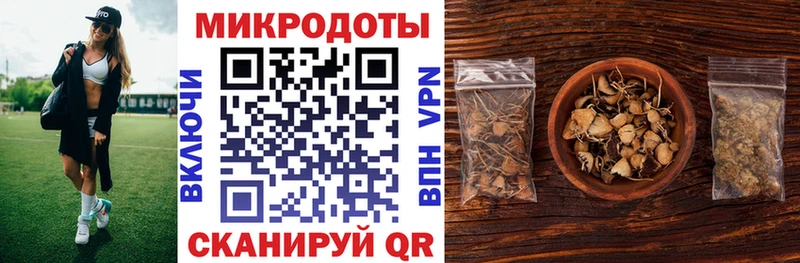 гидра ТОР  Кисловодск  darknet формула  Псилоцибиновые грибы Magic Shrooms 
